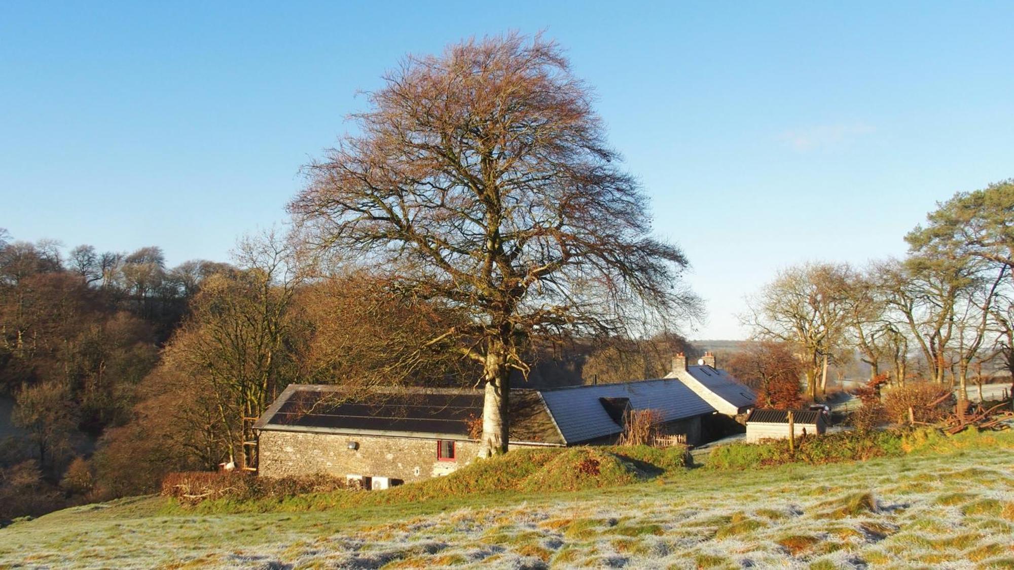 Apartamento Charming Countryside Barn Pencader  Exterior foto